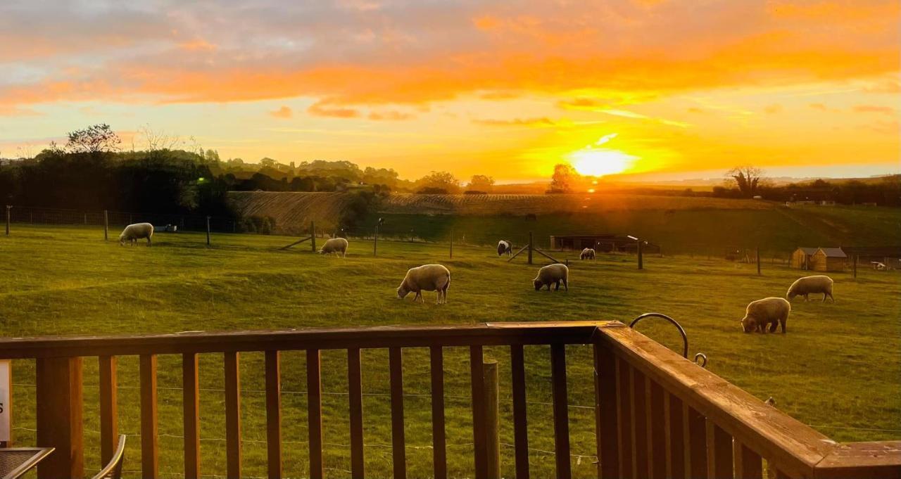 Fairview Farm Holiday Accommodation 14 Luxury Lodges, Cabins, Dog Friendly, Suitable For Couples, Families And Groups, Wedding Guests , Corporate Events, Sleeps 2-65 Guests In Ravenshead, Nottingham Near Sherwood Forest, Set In 88 Acres Εξωτερικό φωτογραφία